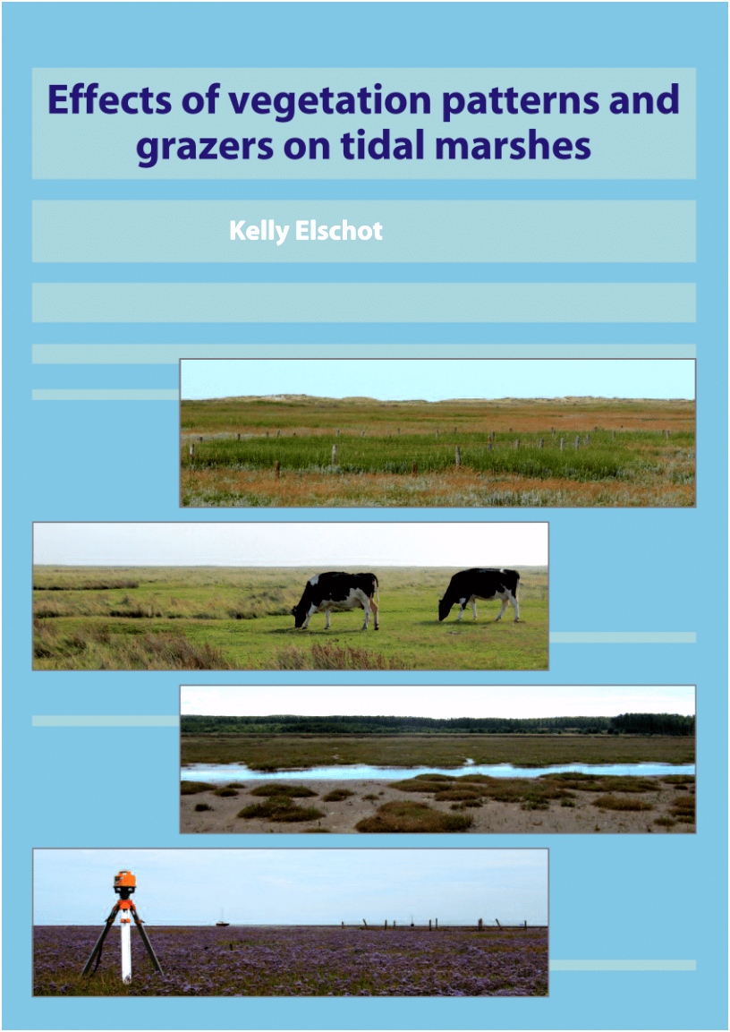 PDF Effects of ve ation patterns and grazers on tidal marshes