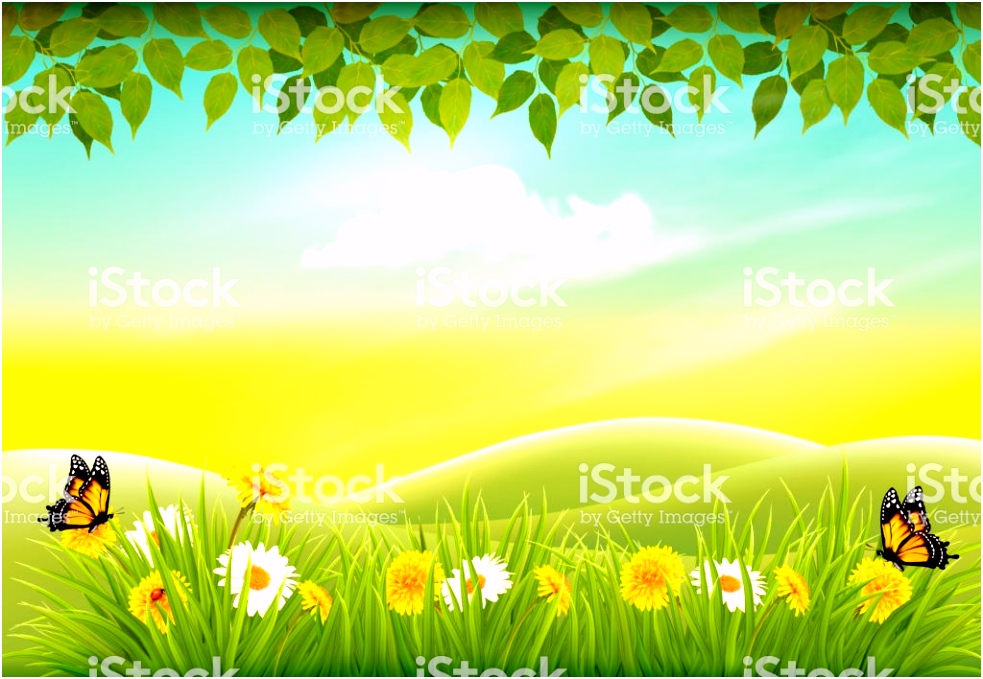 Lente Natuur Landschap Achtergrond Met Bloemen En Vlinders Vector