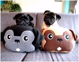 Na¯s Products Handmade pet beds and more door NaisProductsNL