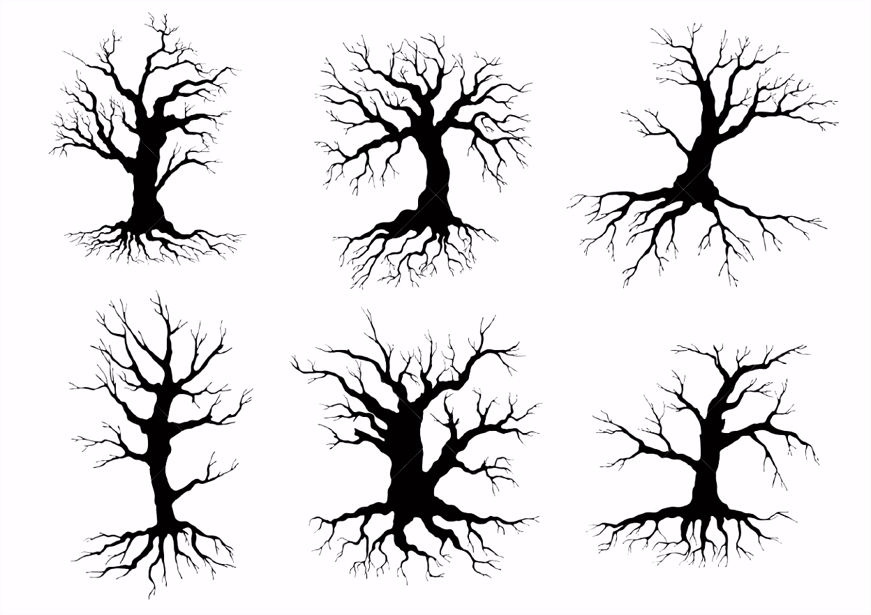 Verschillende Zwarte Bladerloze Bladverliezende Winter Boom