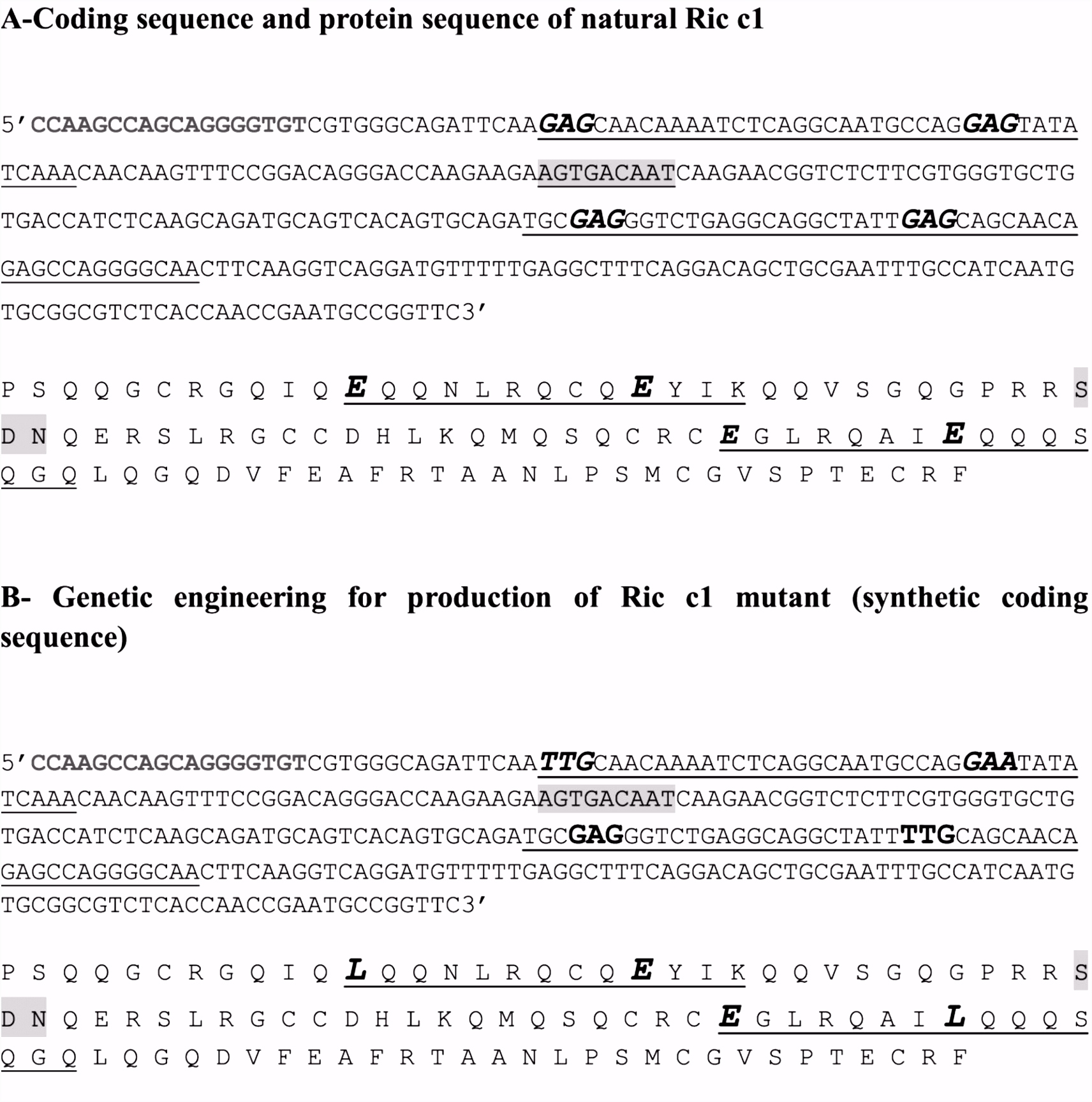 A modified hypoallergenic variant of the Ricinus munis Ric c1