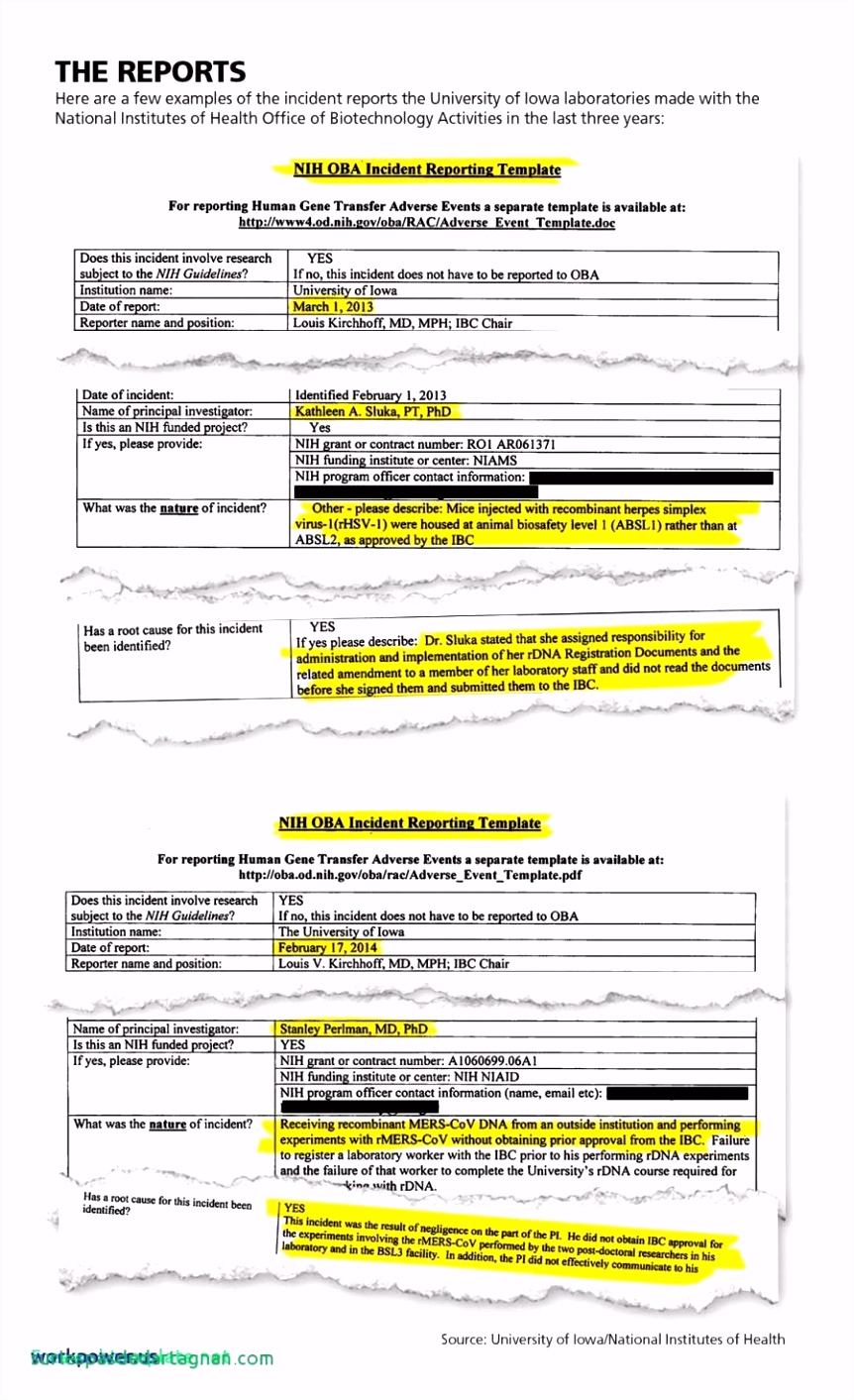 Fresh Lab Report Template lt49 – Documentaries For Change