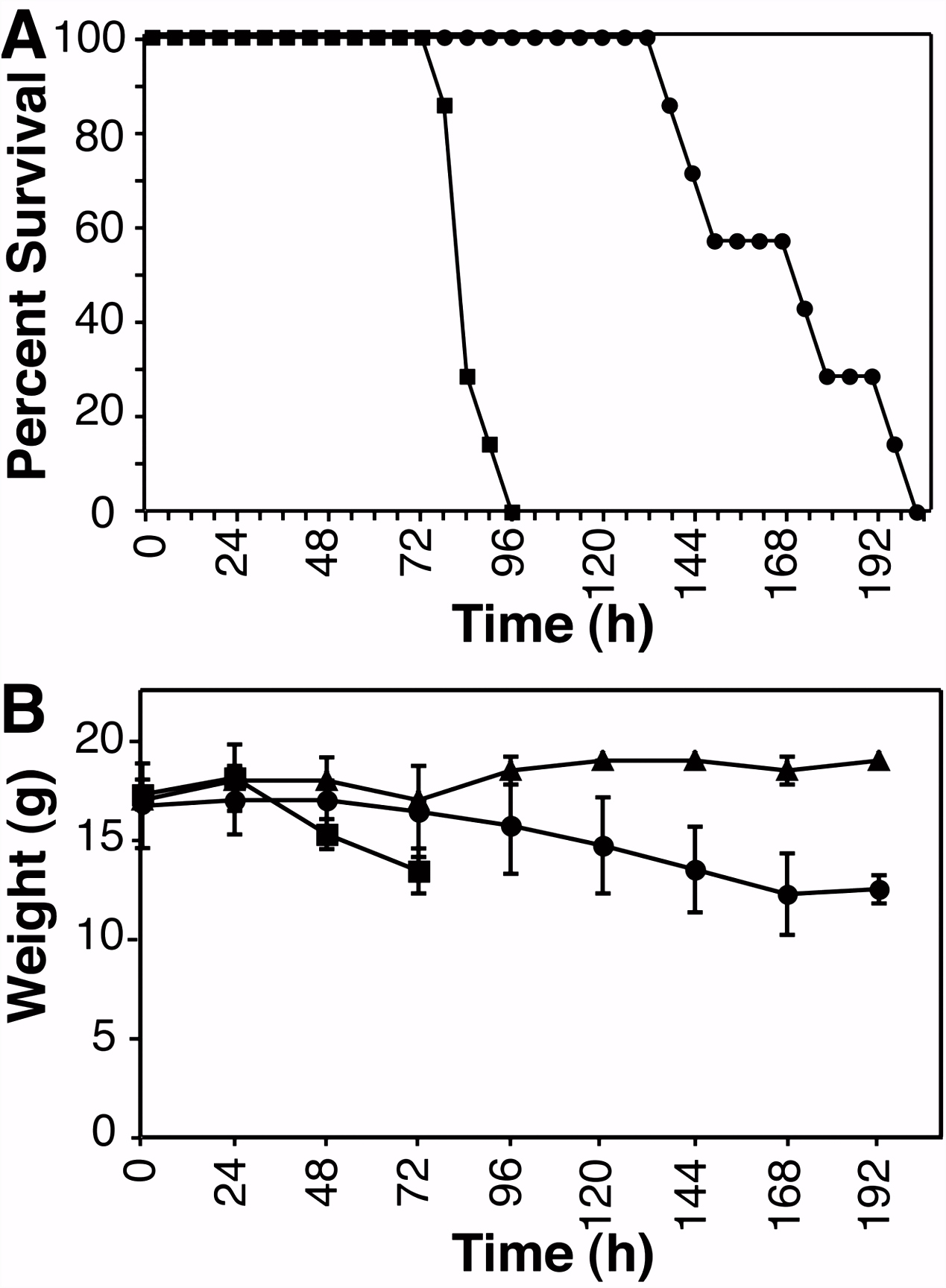 UL54 Null Pseudorabies Virus Is Attenuated in Mice but Productively