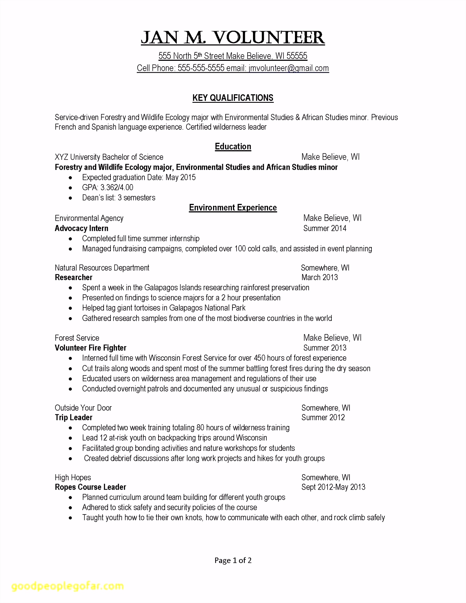 Fundraising form Template Also Insertion order Template Document