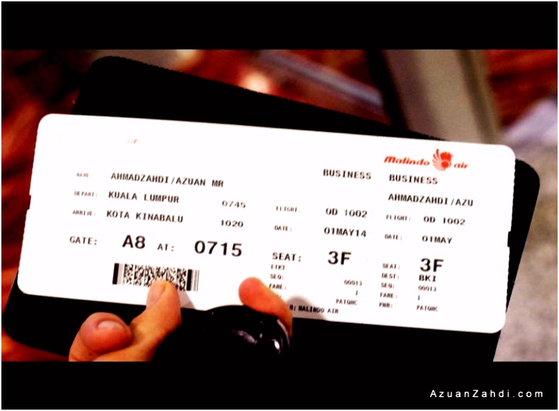 11 Boarding Pass Einladung birthdaycardsifo