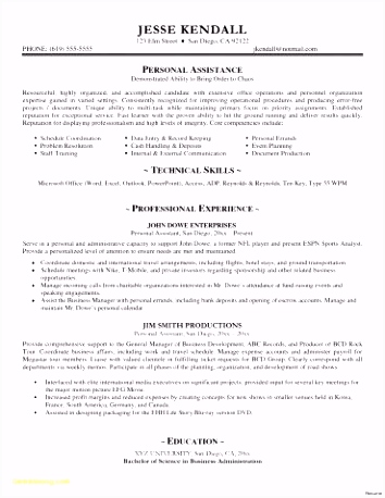 Executive Resume Template Word New Resume Samples Doc New Executive