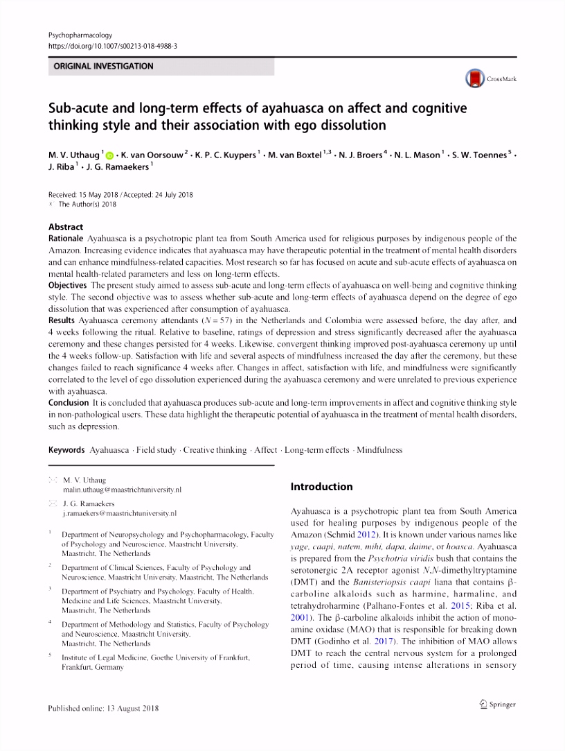 PDF Mind Full of Ideas A Meta Analysis of the Mindfulness