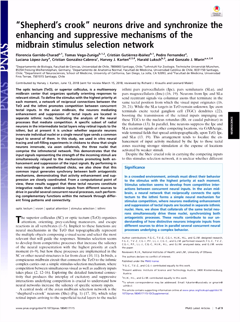 PDF A Novel Relay Nucleus Between the Inferior Colliculus and the